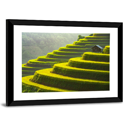 Golden Rice Terraces Wall Art