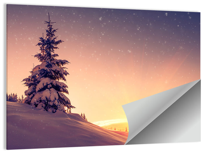 Snowy Sunset with Conifer Wall Art as a poster print