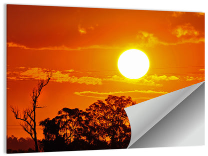 Burning Sun Over Tree Silhouettes Wall Art