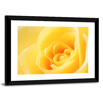 Soft-lit Yellow Rose Close-up Wall Art
