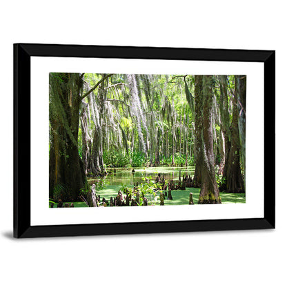 Louisiana Cypress Swamp Wall Art