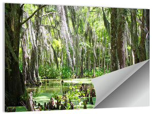 Louisiana Swamp Wall Art