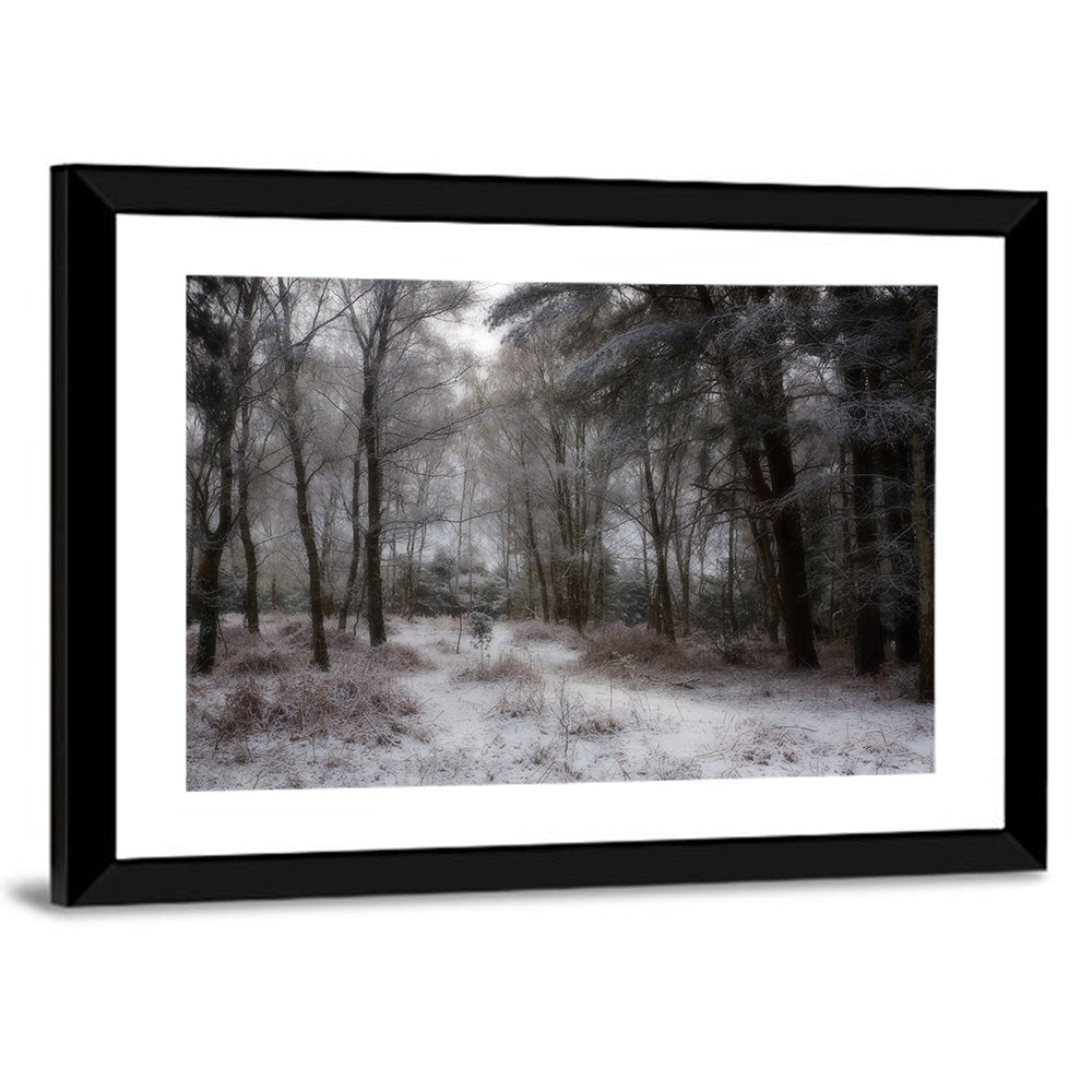 New Forest Winter Path Wall Art