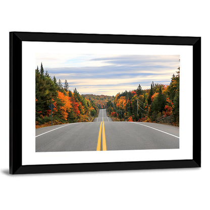 Algonquin Park Road Wall Art