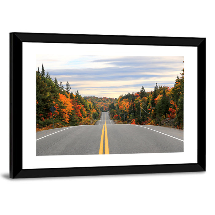 Algonquin Park Road Wall Art as a framed print