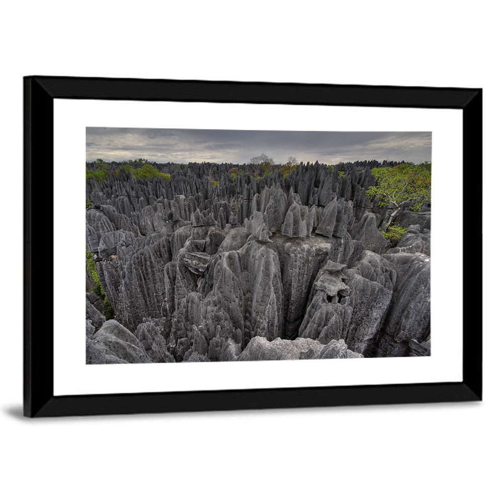 Tsingy De Bemaraha Pinnacles Wall Art