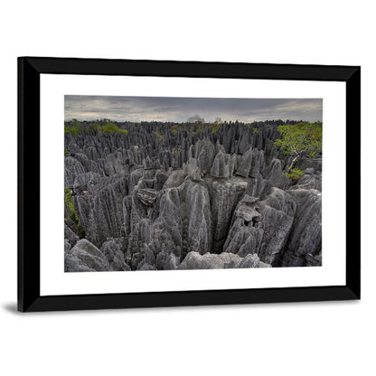 Tsingy De Bemaraha Pinnacles Wall Art
