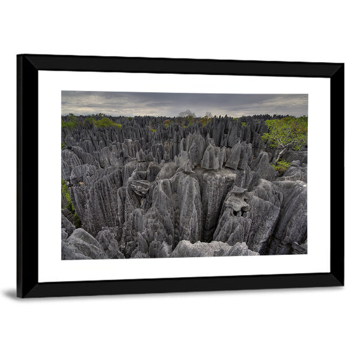 Tsingy De Bemaraha Pinnacles Wall Art as a framed print