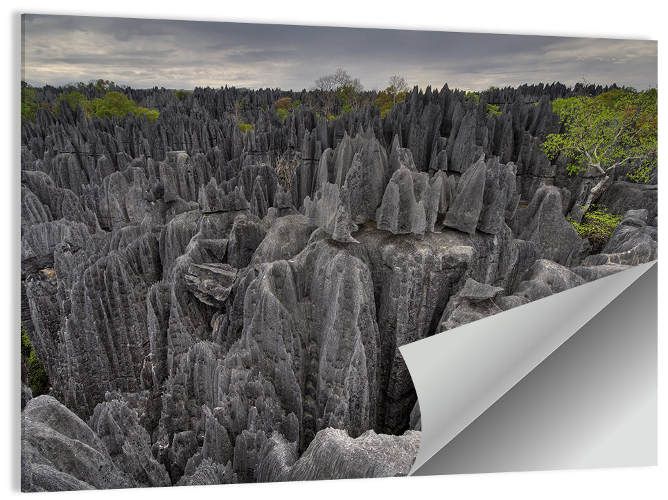 Tsingy De Bemaraha Pinnacles Wall Art