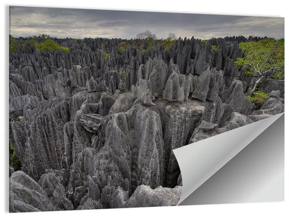 Tsingy De Bemaraha Pinnacles Wall Art