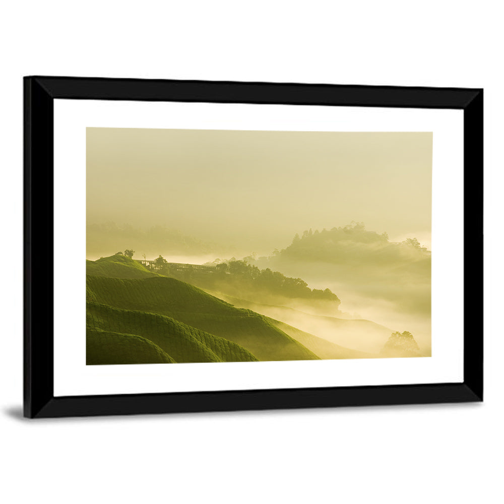 Tea Plantation Morning Mist Wall Art