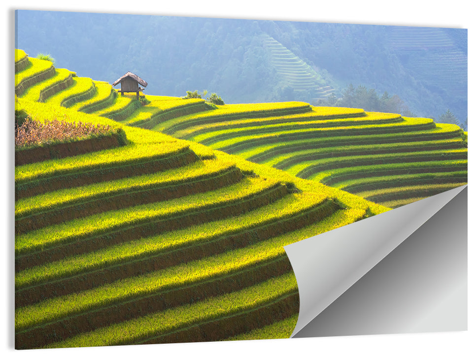 Mu Cang Chai Rice Terraces Wall Art