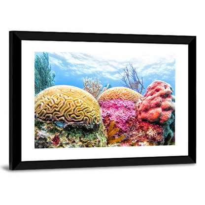 Vibrant Brain Coral Reef Wall Art