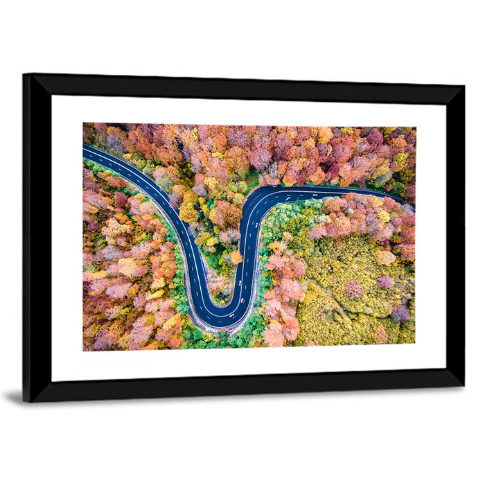 Winding Forest Road Wall Art as a framed print