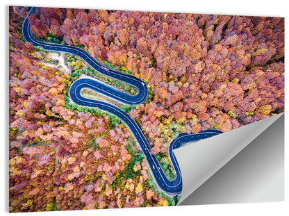 Winding Autumn Road Wall Art