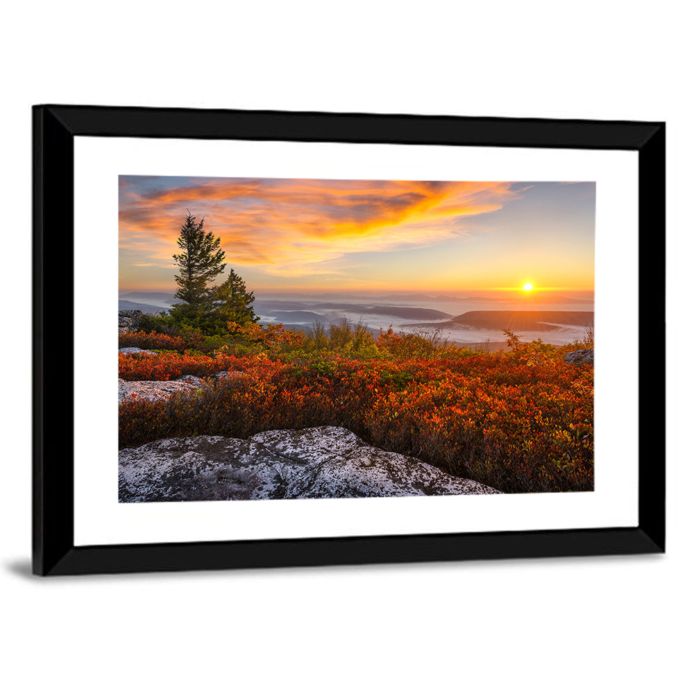 Sunrise Over Dolly Sods Wall Art
