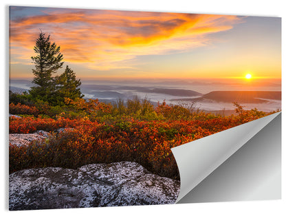 Sunrise Over Dolly Sods Wall Art