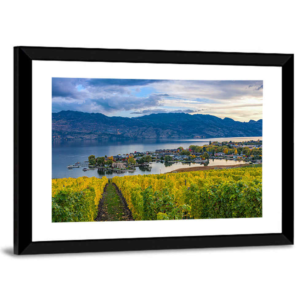 Okanagan Lake Vineyard, Kelowna Wall Art