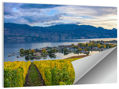 Okanagan Lake Vineyard, Kelowna Wall Art