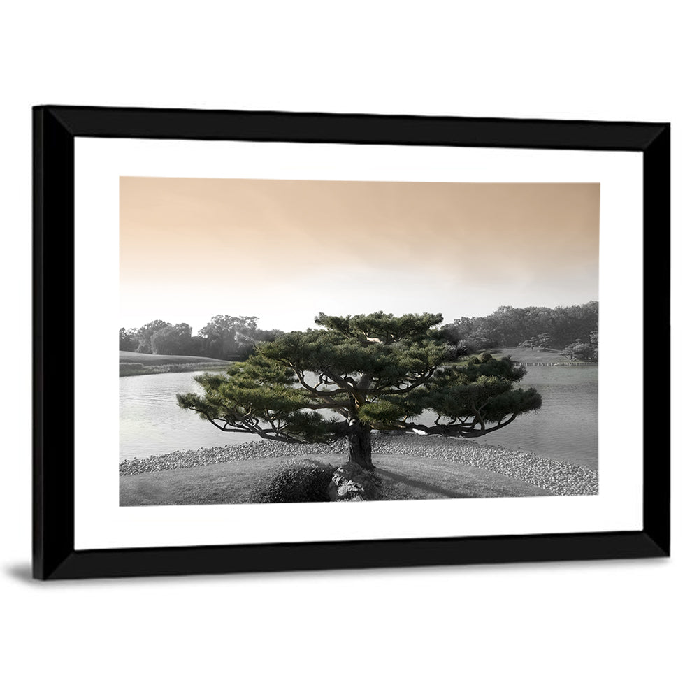Bonsai Pine in Japanese Garden Wall Art
