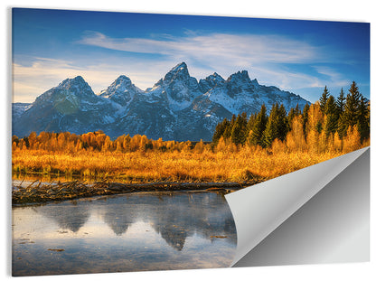 Grand Tetons Golden Reflection Wall Art