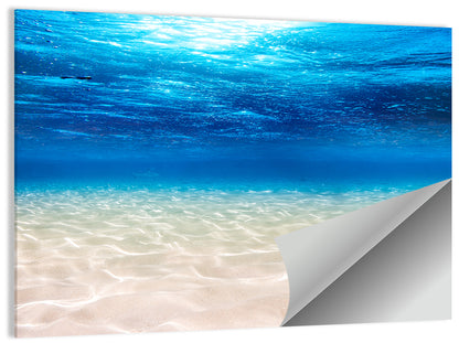 Sunlit Sandy Seabed Wall Art