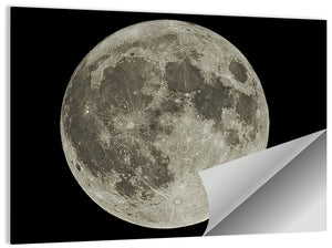 Full Moon Wall Art