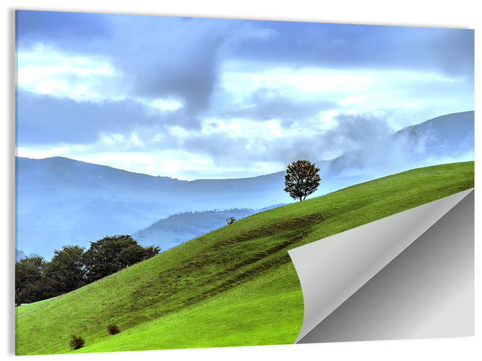 Talish Hillside with Lone Tree Wall Art as a poster print