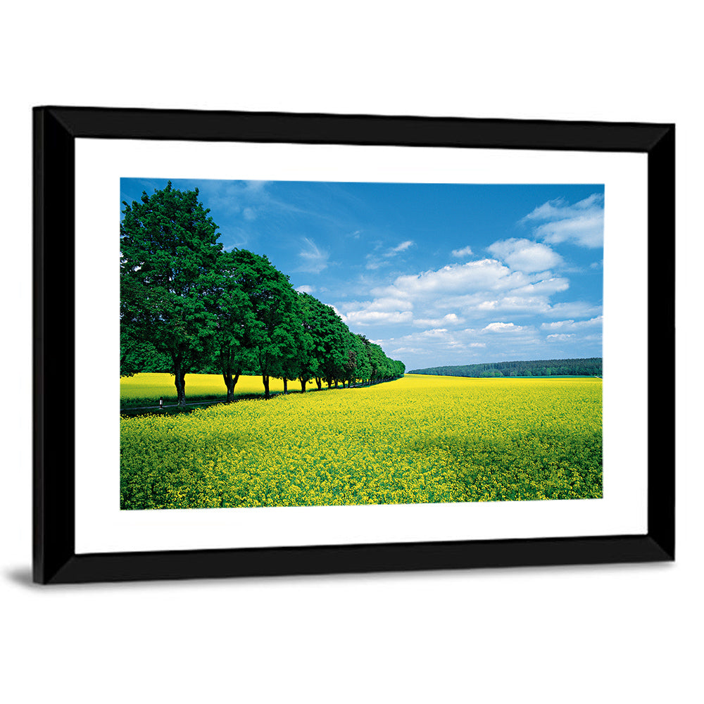 Spring Field of Yellow Flowers Wall Art
