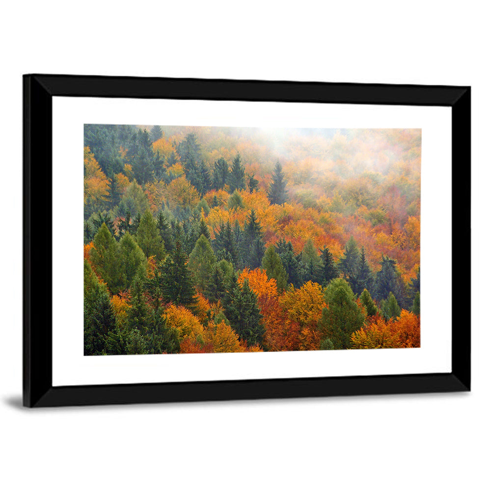 Misty Autumn Forestscape Wall Art