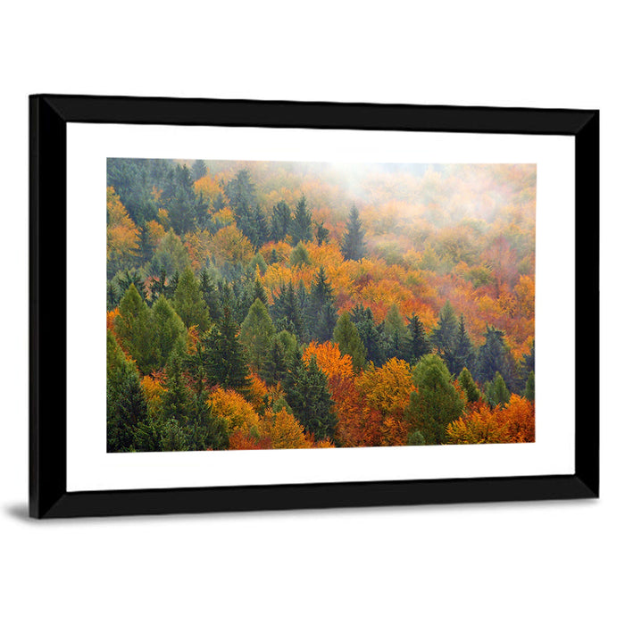 Misty Autumn Forestscape Wall Art as a framed print