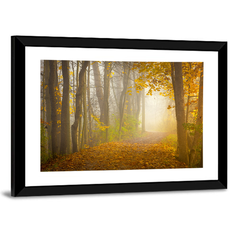 Cuyahoga Valley Autumn Path Wall Art
