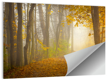 Cuyahoga Valley Autumn Path Wall Art