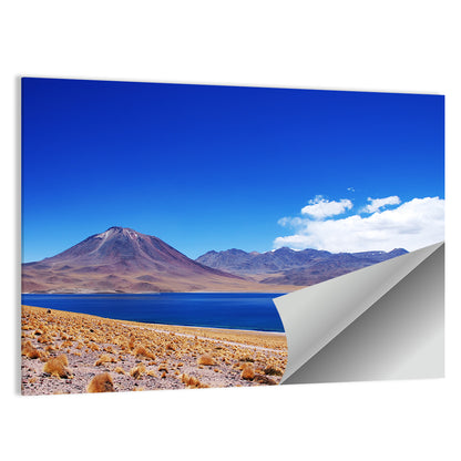 Miscanti Lagoon and Miñiques Volcano Wall Art