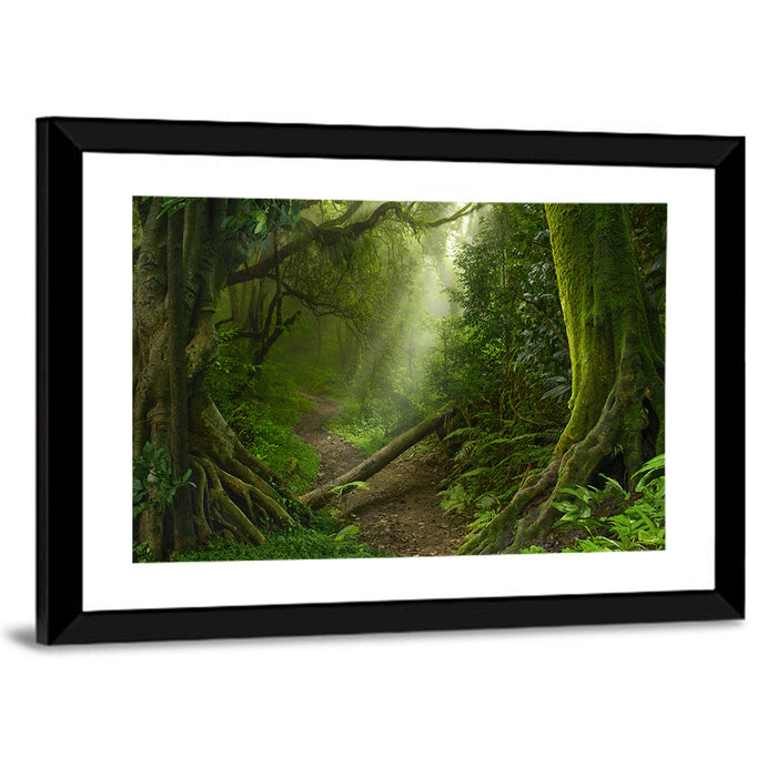 Moss-covered Rainforest Path Wall Art as a framed print