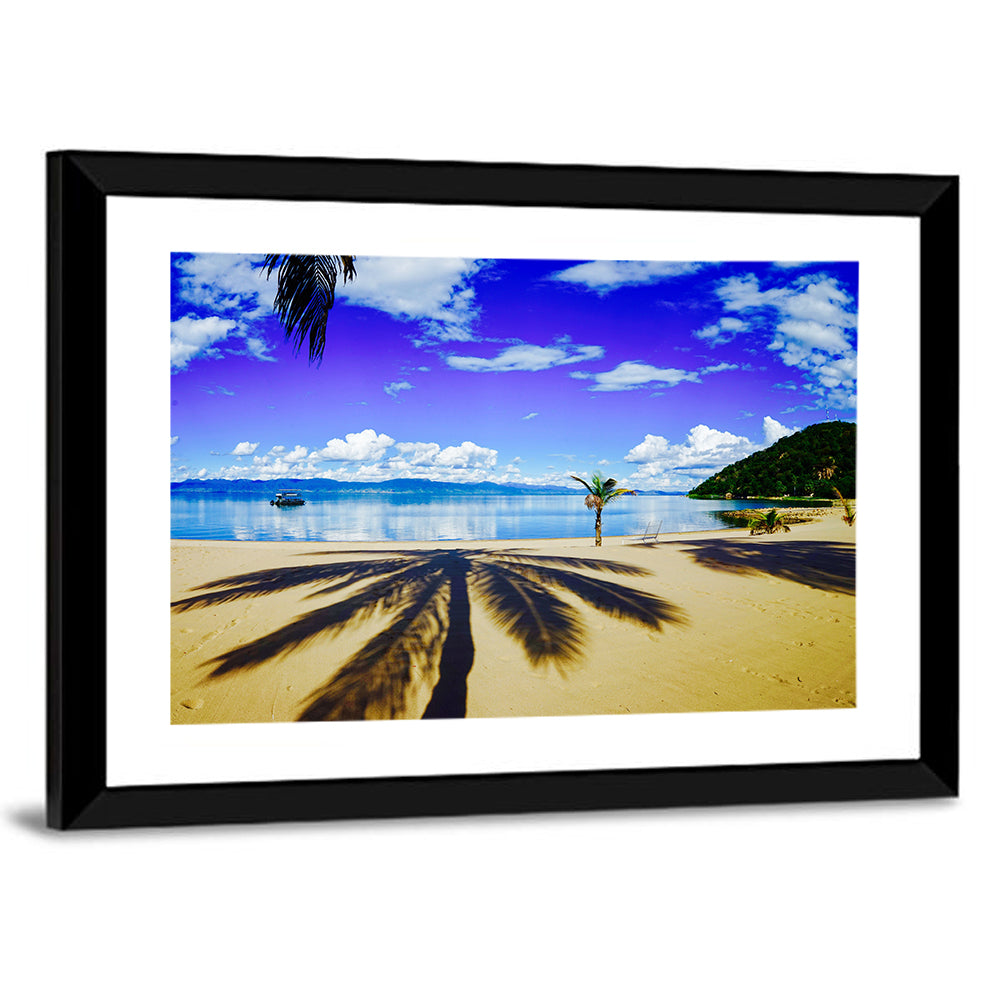 Lake Malawi Palm Shadow Wall Art