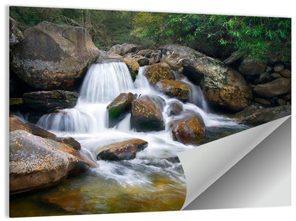 Blue Ridge Mossy Waterfall Wall Art