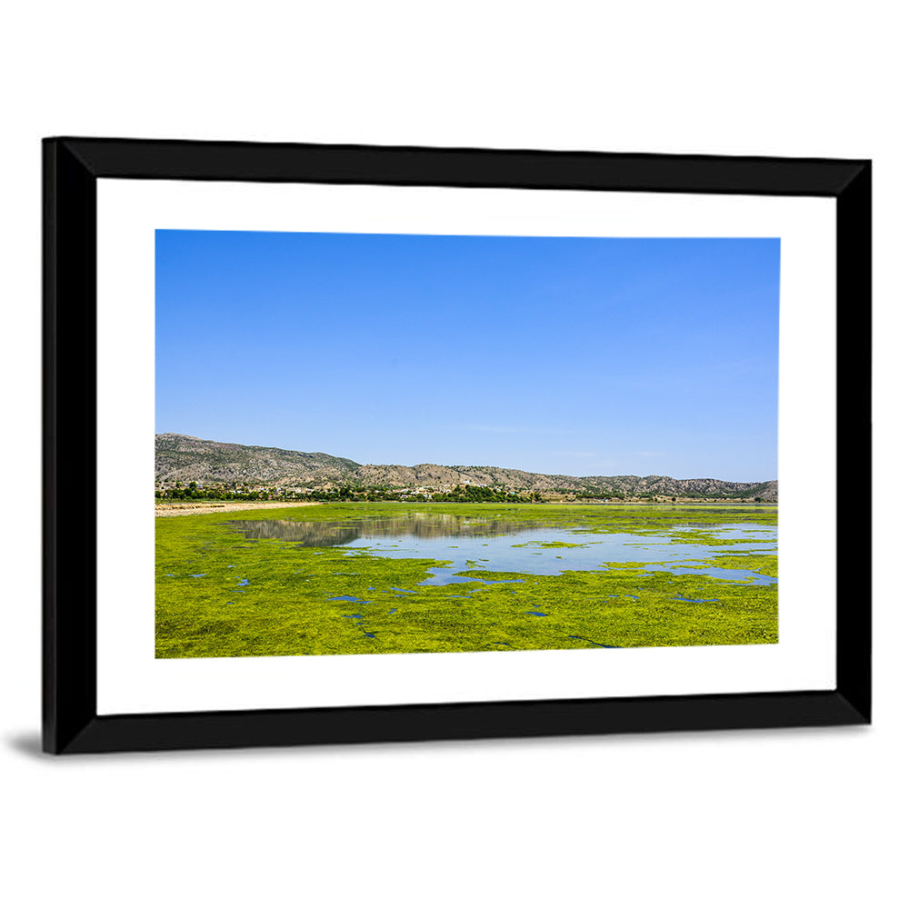 Uchali Lake Algae Reflection Wall Art