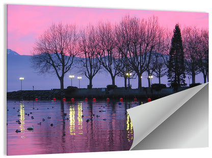 Lake Geneva Wall Art