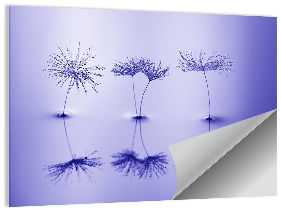 Blue Dandelion Seeds with Reflections Wall Art