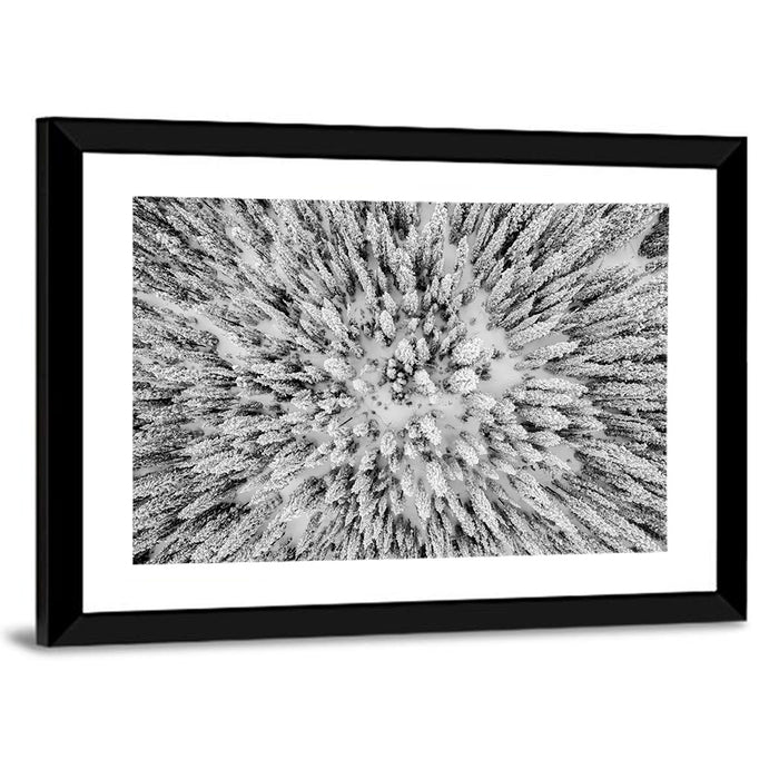 Snowy Aerial Forest Wall Art as a framed print