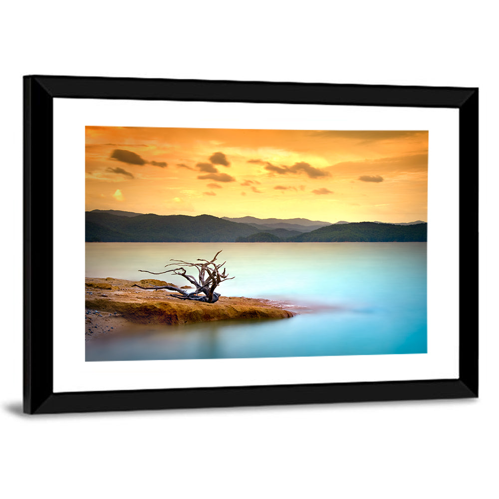Gnarled Driftwood at Turquoise Lake Wall Art
