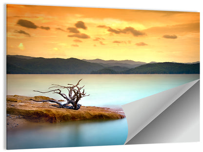 Gnarled Driftwood at Turquoise Lake Wall Art