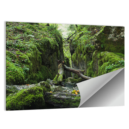 Kammersee Mossy Cleft Wall Art