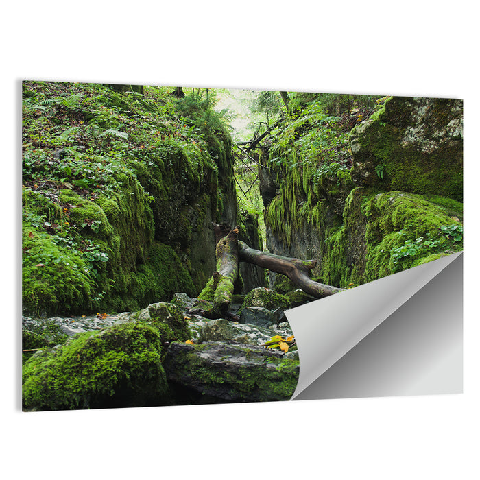 Kammersee Mossy Cleft Wall Art as a poster print