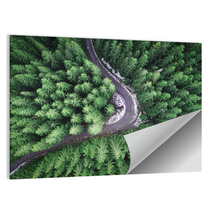 Aerial Forest Road Wall Art