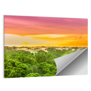 Amazon Rain Forest Brazil Wall Art