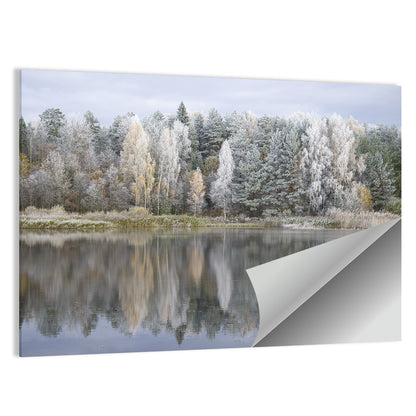 Pskov Region Forest Lake Wall Art