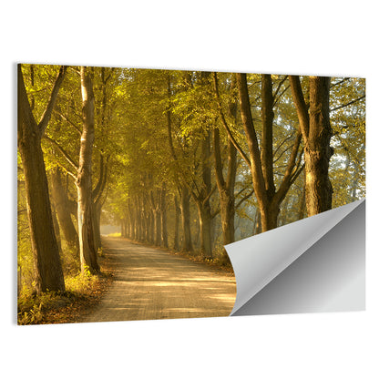 Autumn Road Through Golden Forest Wall Art