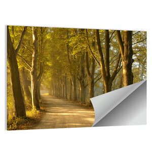 Countryside Road in Autumn Wall Art